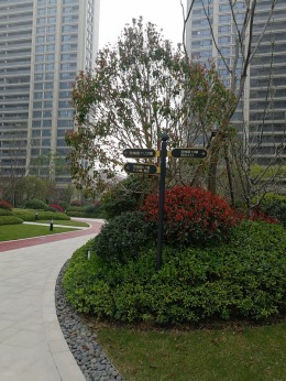 绿城玫瑰园14